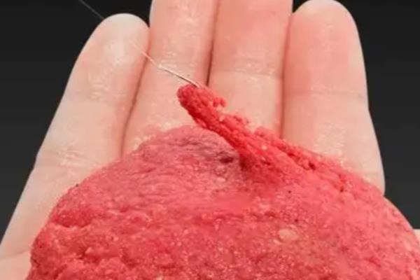 钓大鲫鱼用什么饵料好，建议选择素饵