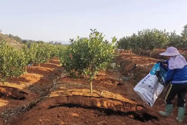 复合肥和有机肥的简介，前者属于复混肥料、后者是一种含碳物料