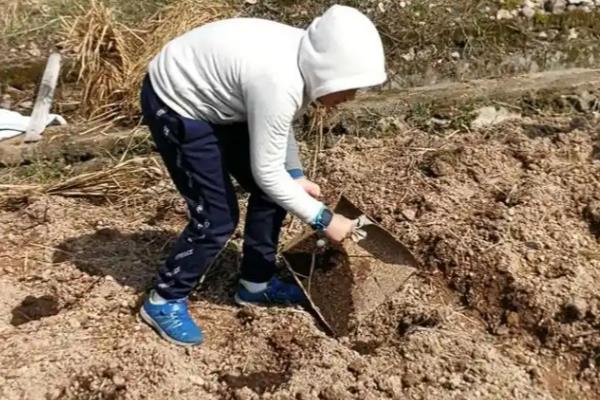 复合肥和有机肥的简介，前者属于复混肥料、后者是一种含碳物料