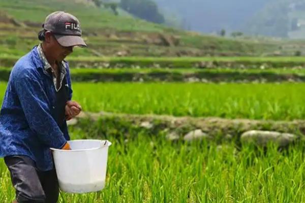 复合肥和有机肥的简介，前者属于复混肥料、后者是一种含碳物料