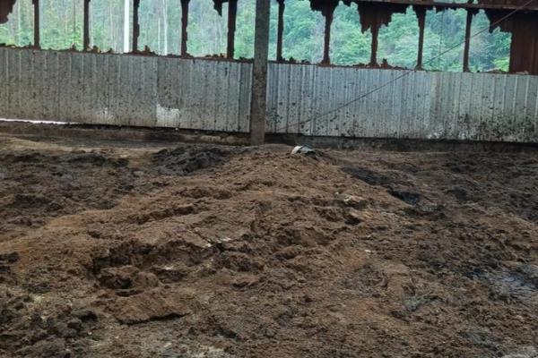 复合肥和有机肥的简介，前者属于复混肥料、后者是一种含碳物料