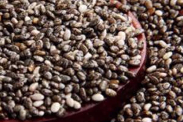 甘蓝的种植时间,春季和秋季均可种植