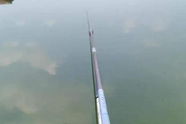 综合竿的简介，可以兼钓鲫鱼和鲤鱼