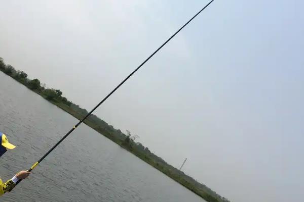 综合竿的简介，可以兼钓鲫鱼和鲤鱼