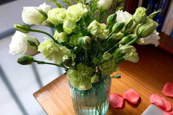 洋桔梗鲜切花怎么养护，每隔2天换一次水