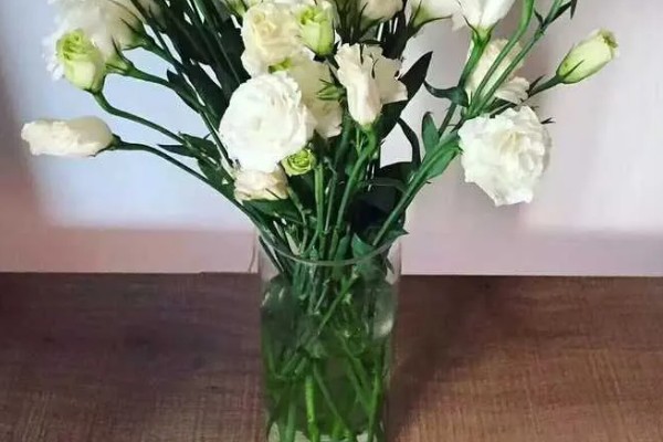 洋桔梗鲜切花怎么养护，每隔2天换一次水