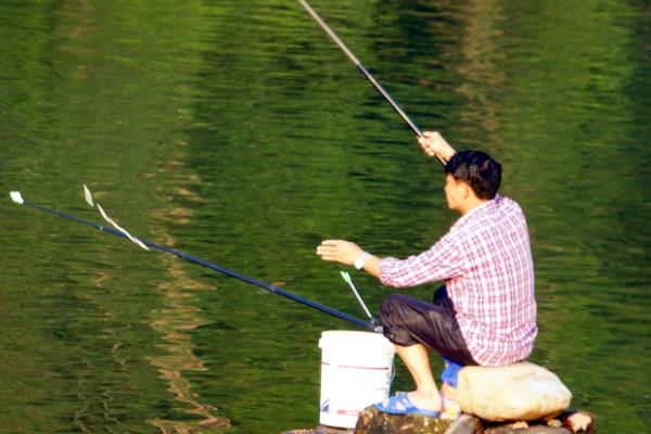 综合竿的简介，可以兼钓鲫鱼和鲤鱼