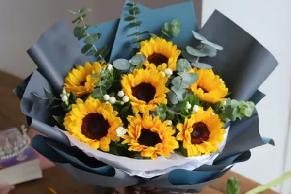 七朵向日葵有什么花语,代表沉默的爱、太阳光辉、忠诚的爱