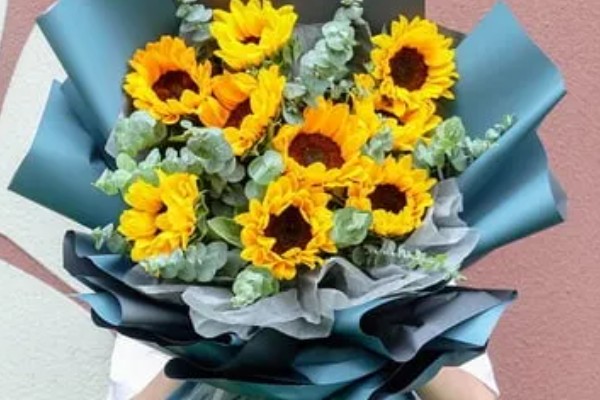 七朵向日葵有什么花语,代表沉默的爱、太阳光辉、忠诚的爱