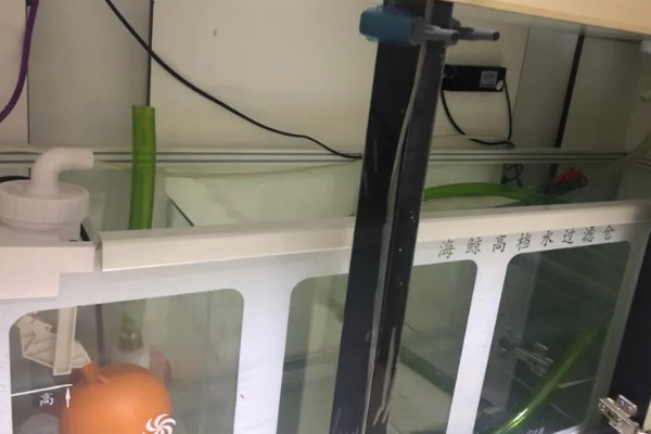 鱼缸下水慢上水快如何处理，下水口堵塞要疏通