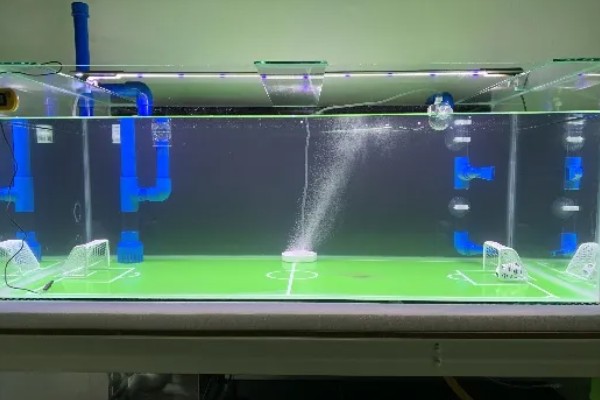 鱼缸下水慢上水快如何处理，下水口堵塞要疏通