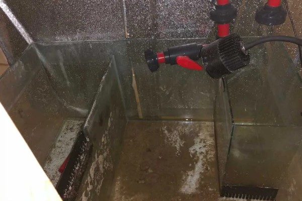 鱼缸下水慢上水快如何处理，下水口堵塞要疏通