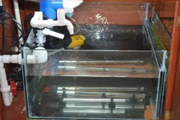鱼缸下水慢上水快如何处理，下水口堵塞要疏通