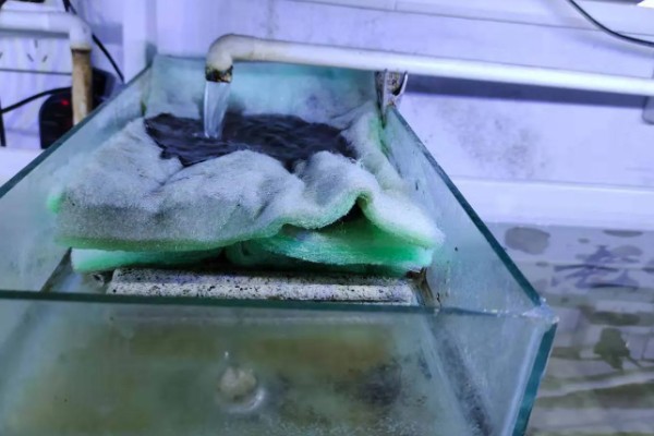 鱼缸下水慢上水快如何处理，下水口堵塞要疏通