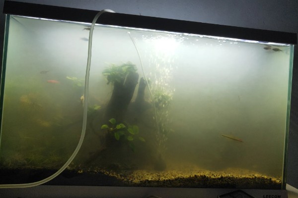 鱼缸下水慢上水快如何处理，下水口堵塞要疏通