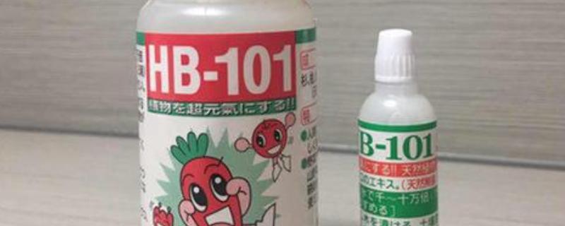 hb一101活力素的使用方法，可直接埋入土中