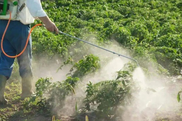 甲维盐的使用方法，针对不同害虫的使用方法不同