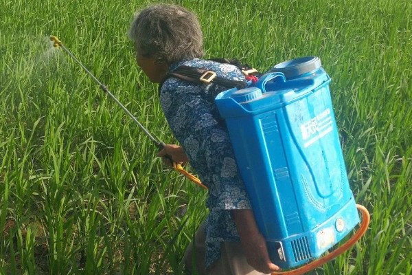 甲维盐的使用方法，针对不同害虫的使用方法不同