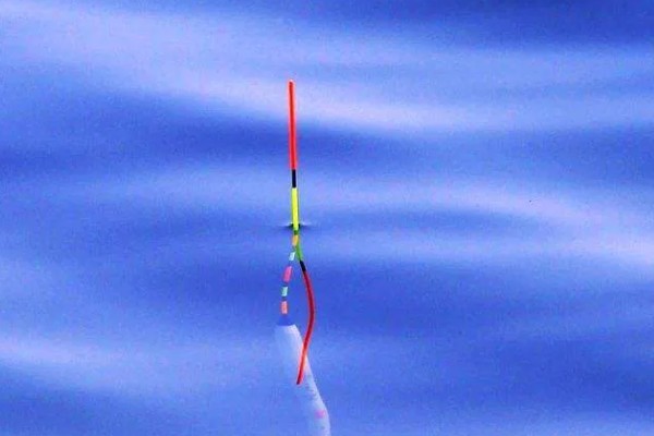 2.5克的铅用什么浮漂，整体呈现流线型的漂都适合