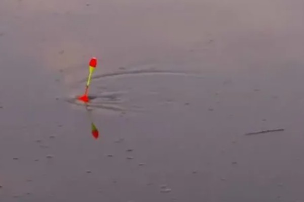 2.5克的铅用什么浮漂，整体呈现流线型的漂都适合