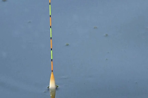 2.5克的铅用什么浮漂，整体呈现流线型的漂都适合