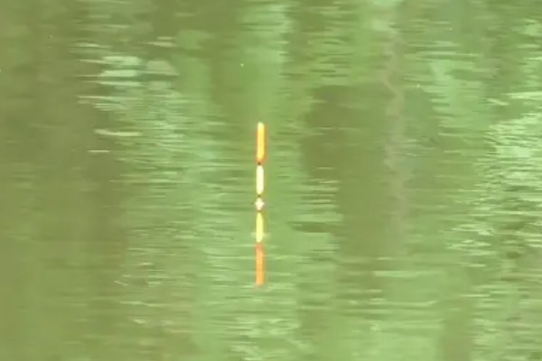 2.5克的铅用什么浮漂，整体呈现流线型的漂都适合