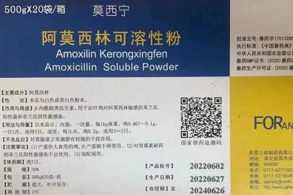 猪用阿莫西林有什么作用,可治疗仔猪黄白痢