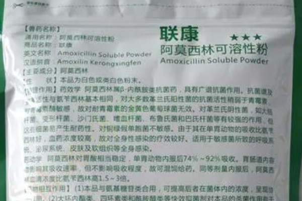 猪用阿莫西林有什么作用,可治疗仔猪黄白痢