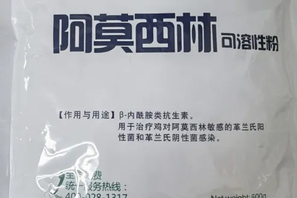 猪用阿莫西林有什么作用,可治疗仔猪黄白痢