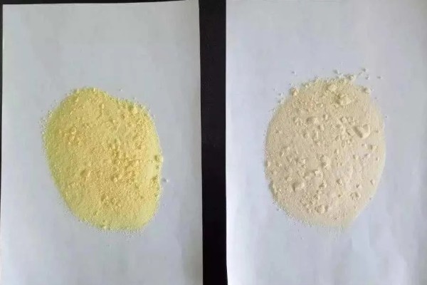 猪用阿莫西林有什么作用,可治疗仔猪黄白痢