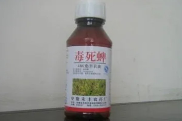毒死蜱的使用方法,针对不同害虫的使用方法不同