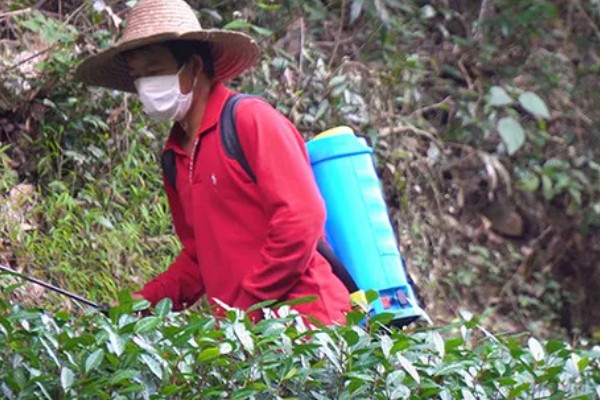 毒死蜱的使用方法,针对不同害虫的使用方法不同