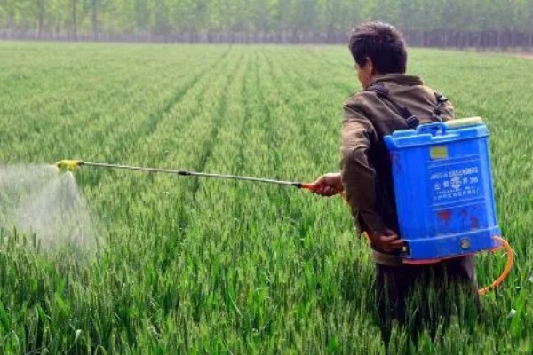 毒死蜱的使用方法,针对不同害虫的使用方法不同
