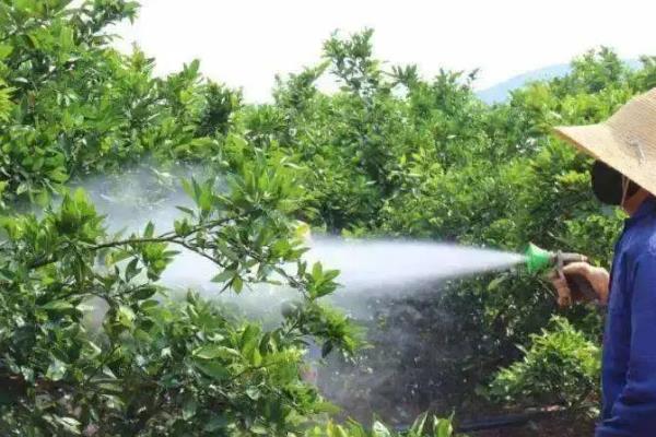 二嗪磷颗粒剂有什么作用，可防治鳞翅目、同翅目等多种害虫