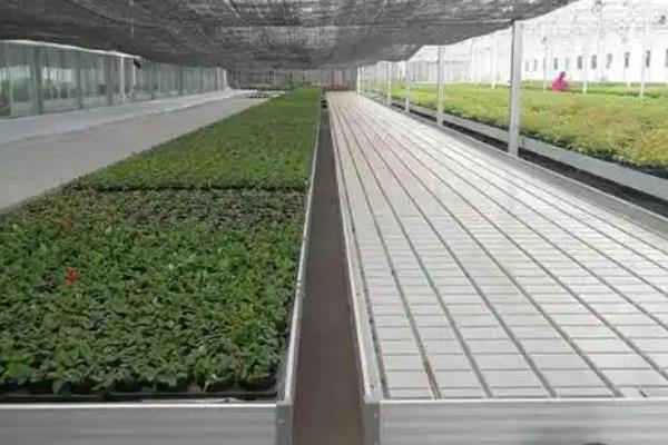 立柱式蔬菜的无土栽培，营养液槽要加入防渗材料