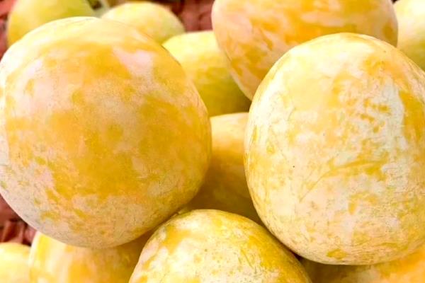 我国有什么品质好的李子，三月李、五月脆、蜂糖李等品种的品质较好