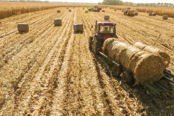 如何减少化肥用量，通过秸秆还田、种植紫云英等方式