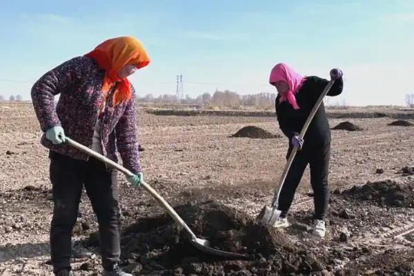 如何减少化肥用量，通过秸秆还田、种植紫云英等方式