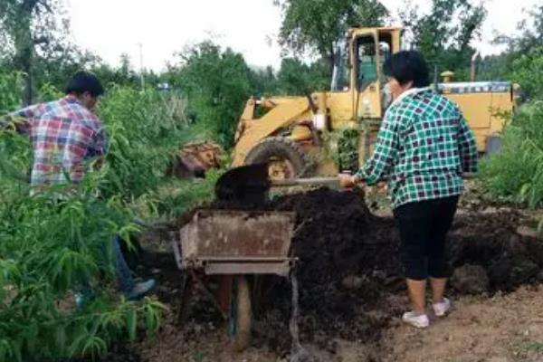 如何减少化肥用量，通过秸秆还田、种植紫云英等方式