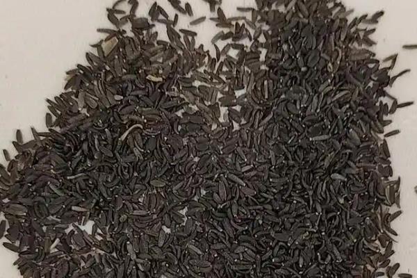 洋桔梗种子的种植方法，一般在春秋两季种植