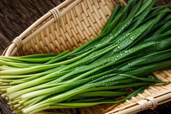 适合阳台种的菜种，有小白菜、韭菜等