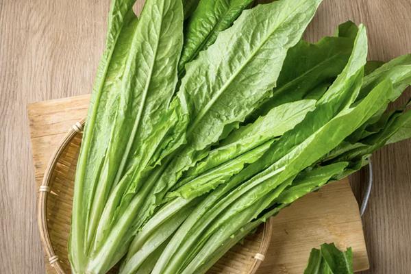 适合阳台种的菜种，有小白菜、韭菜等