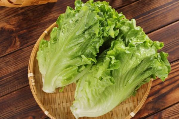 适合阳台种的菜种，有小白菜、韭菜等