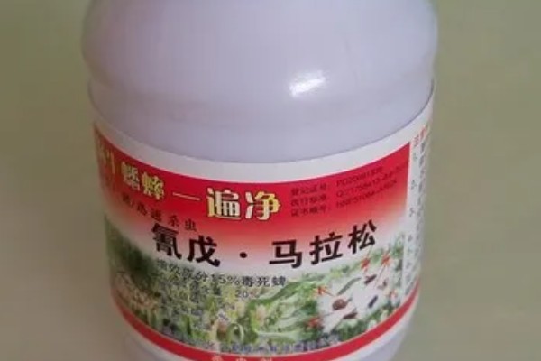 氰戊马拉松的防治对象，可以灭杀蚜虫、棉铃虫、红蜘蛛等害虫