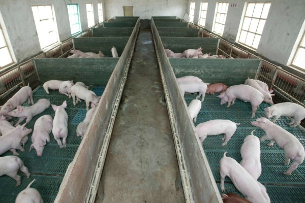 金霉素长期用有没有副作用，长期使用会有副作用