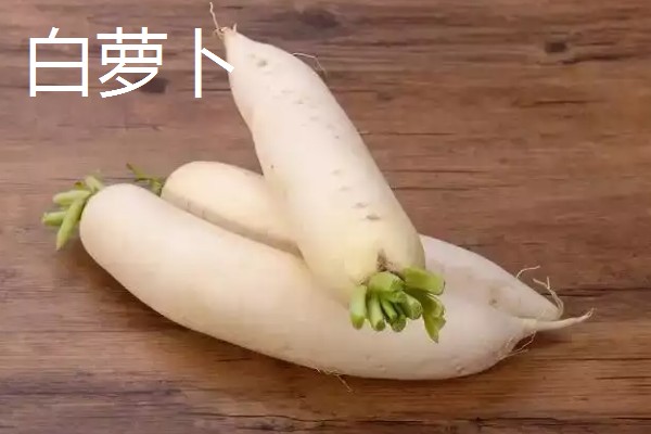 白萝卜和胡萝卜的区别，前者属于十字花科、后者属于伞形科