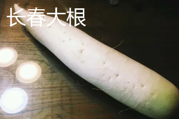 白萝卜和胡萝卜的区别，前者属于十字花科、后者属于伞形科