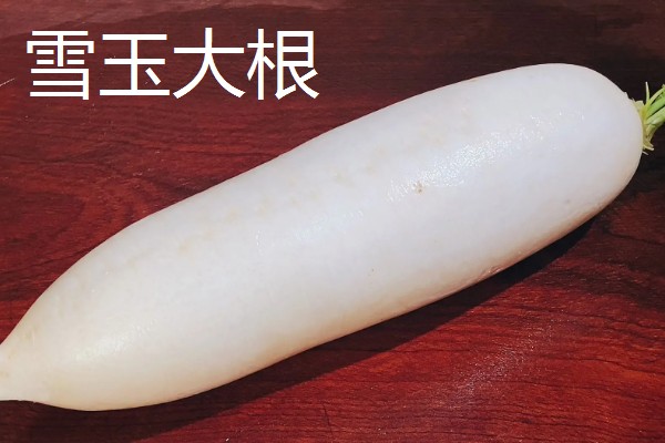 白萝卜和胡萝卜的区别，前者属于十字花科、后者属于伞形科