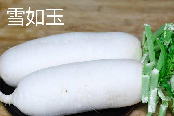 白萝卜和胡萝卜的区别，前者属于十字花科、后者属于伞形科