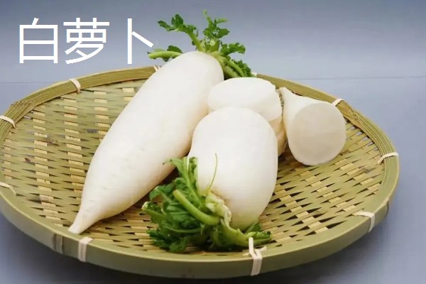 白萝卜和胡萝卜的区别，前者属于十字花科、后者属于伞形科